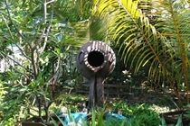 Sandies Bathala Maldives Bathala Island Εξωτερικό φωτογραφία